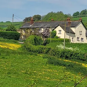  Apartment Beautiful Devon